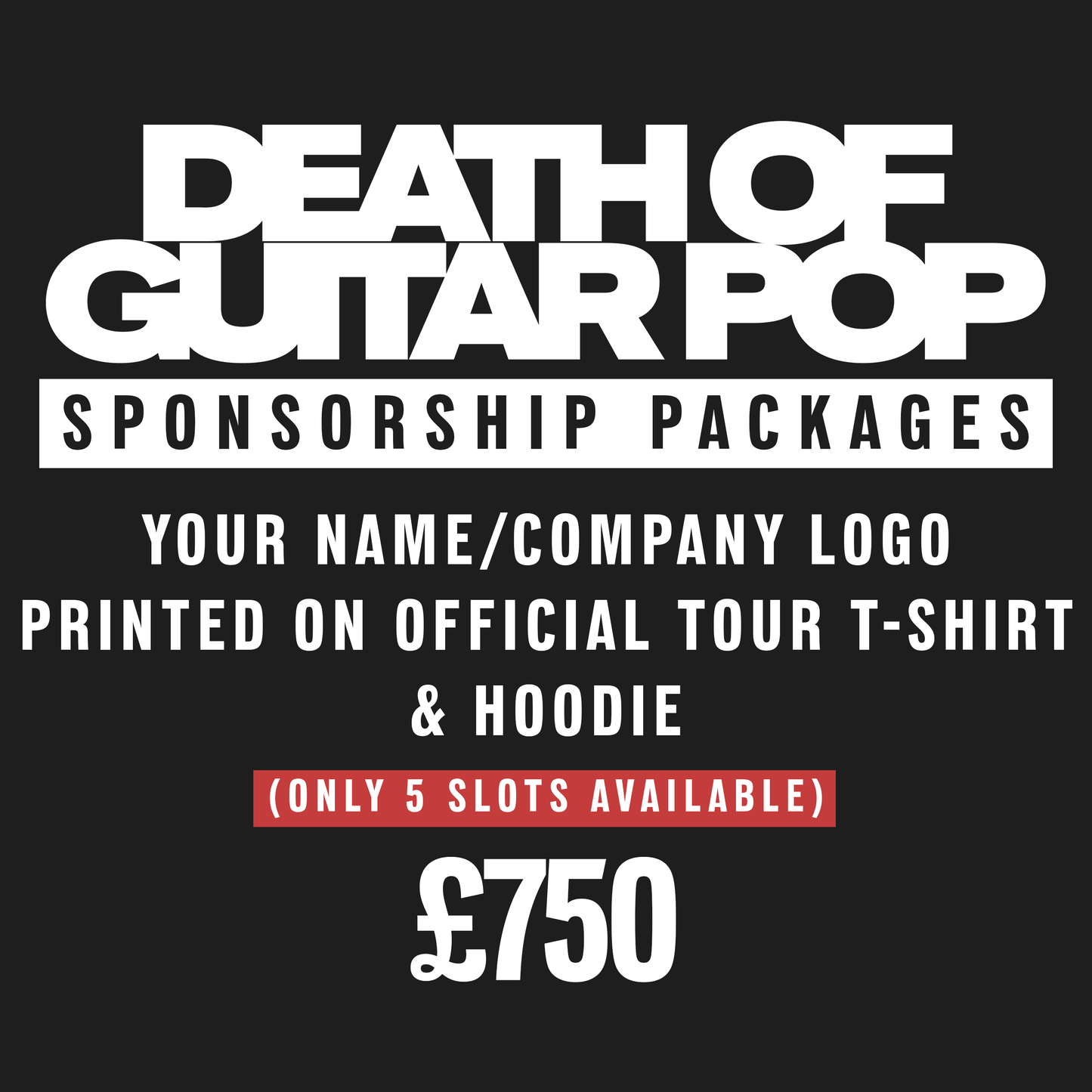 Your name/company logo on official Tour T-Shirt & Hoodie