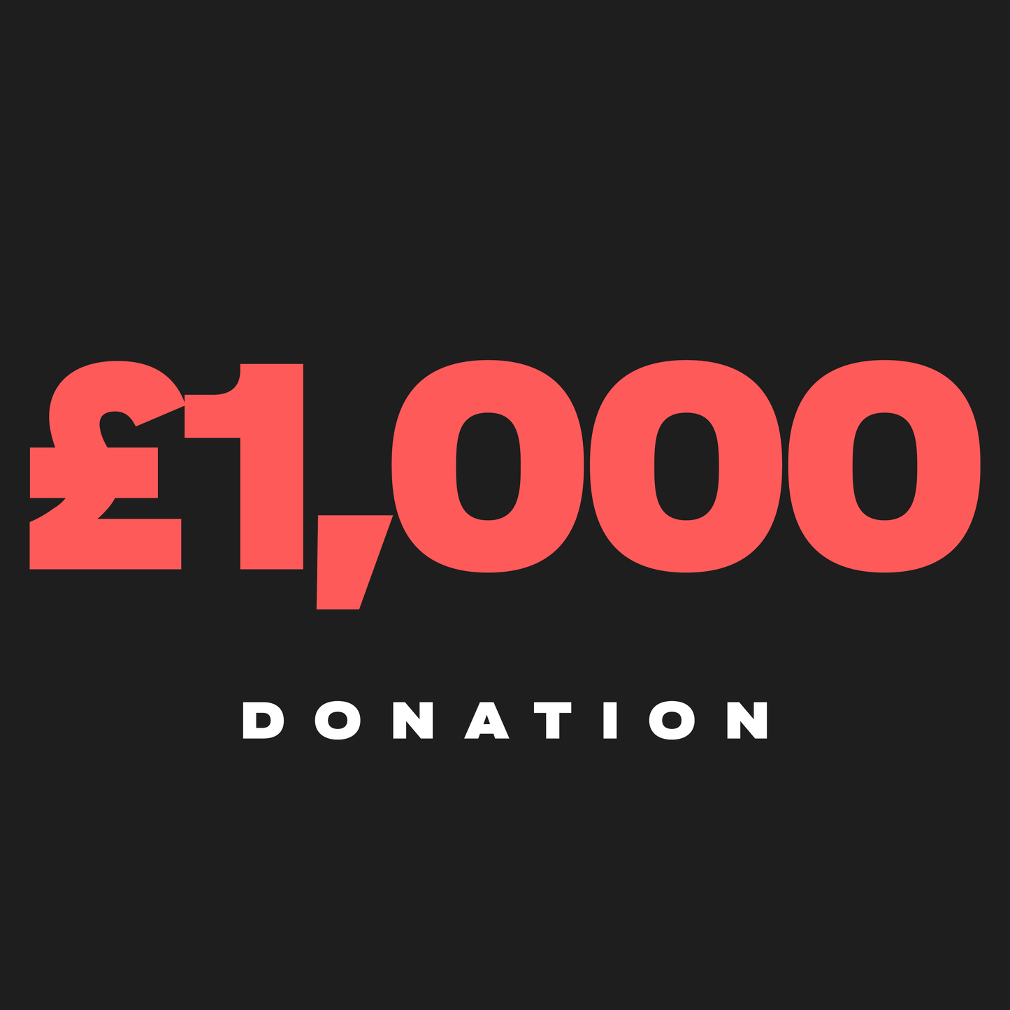 £1,000 TOUR VAN DONATION